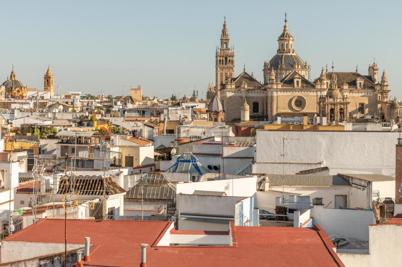Avanti Mirador De Setas, Disfrutar Sevilla